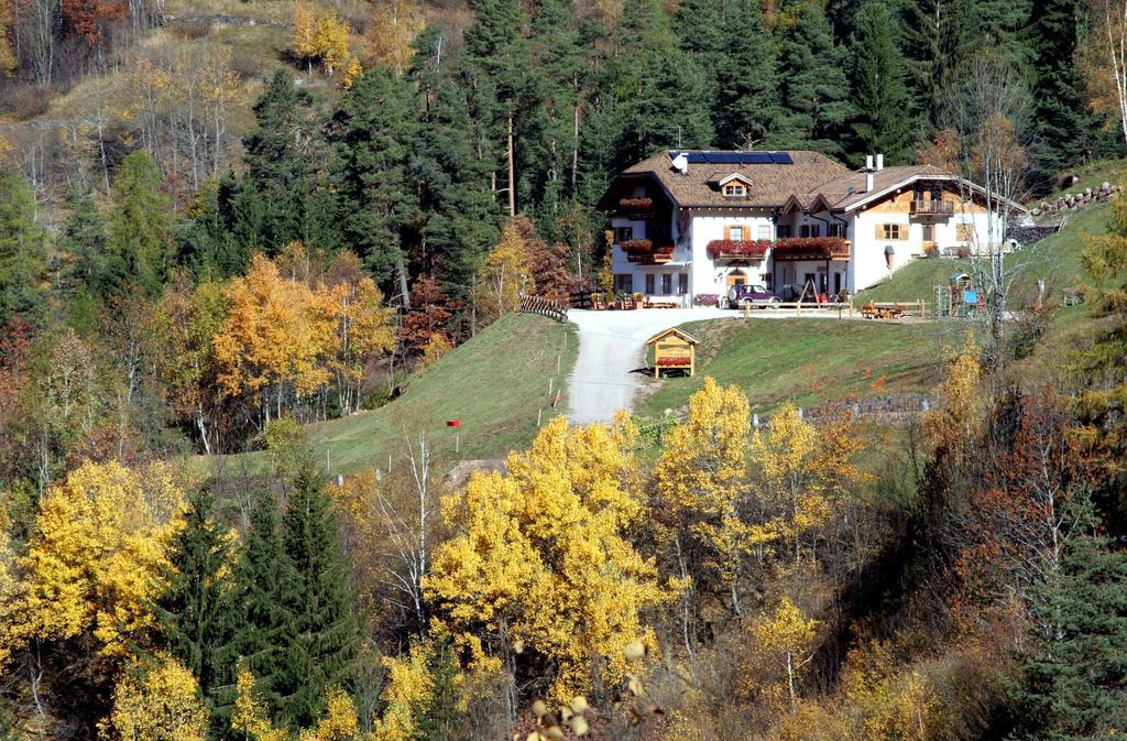 Agritur Fior Di Bosco Valfloriana Exterior photo