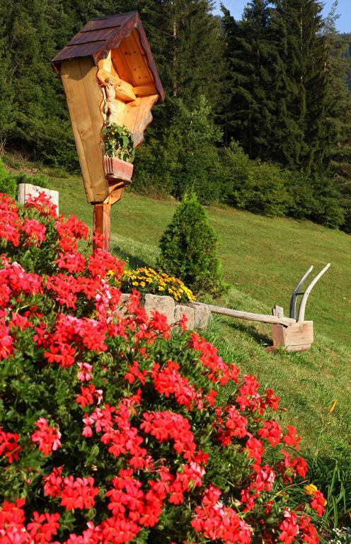 Agritur Fior Di Bosco Valfloriana Exterior photo